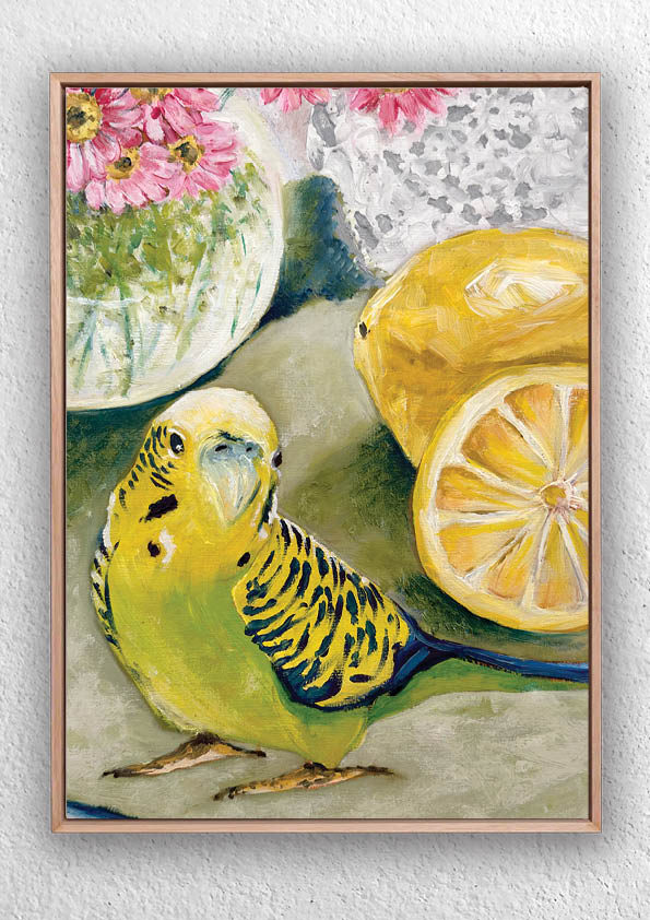 "Budgie Loves Lemons Still Life" Art Print Birds and Animals Jess King Artist Budgie-lemons-still-life-art-print-jess-king