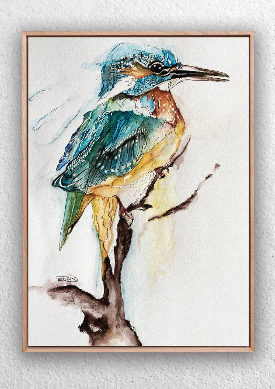 "Kingfisher study watercolor" Art Print