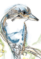 "Kooka line 2 - Kookaburra Bird" Art Print