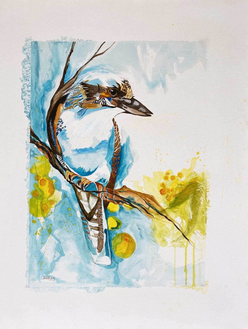 "Kookaburra Wattle" Art Print
