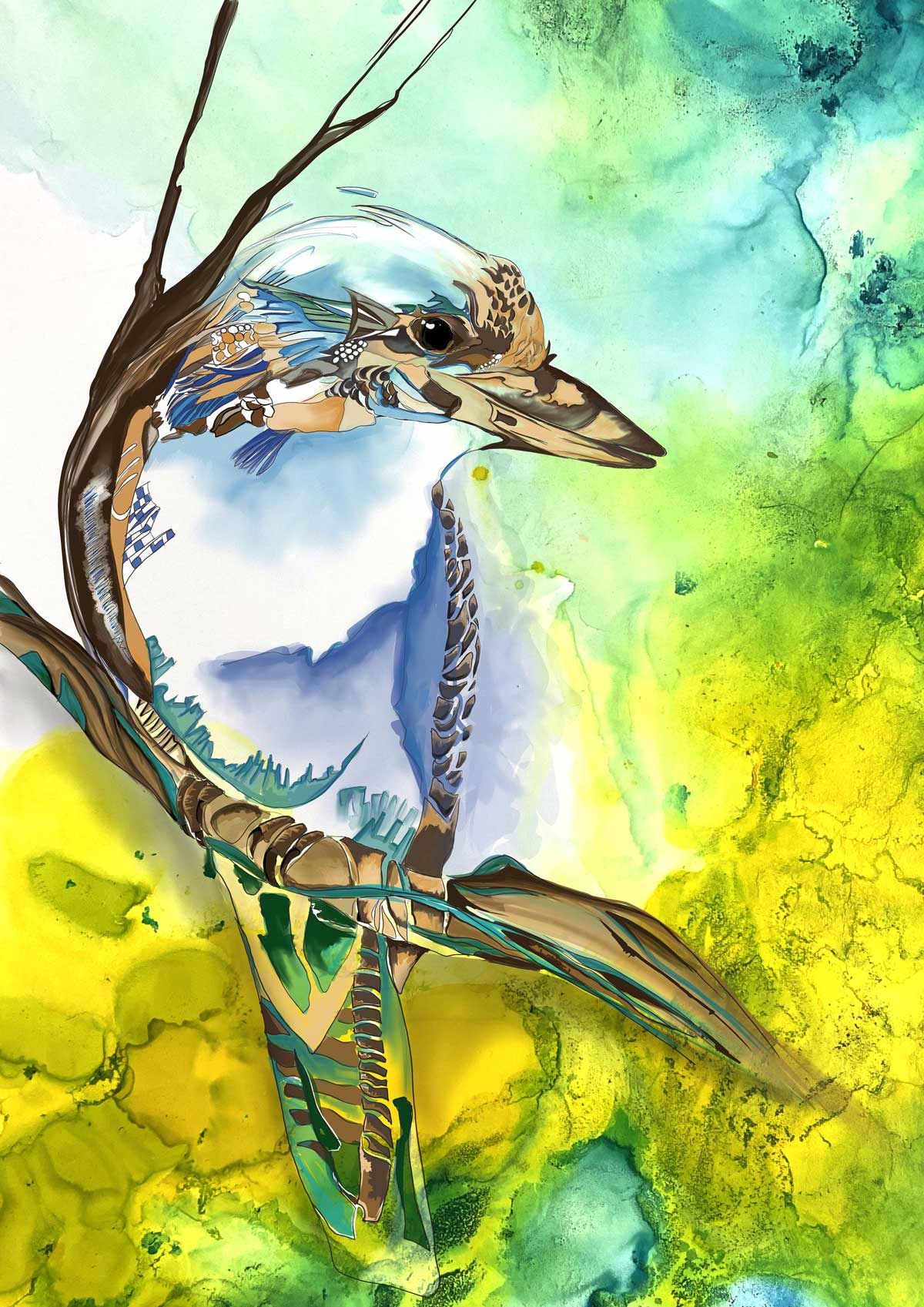 "Kookaburra Digital" Art Print