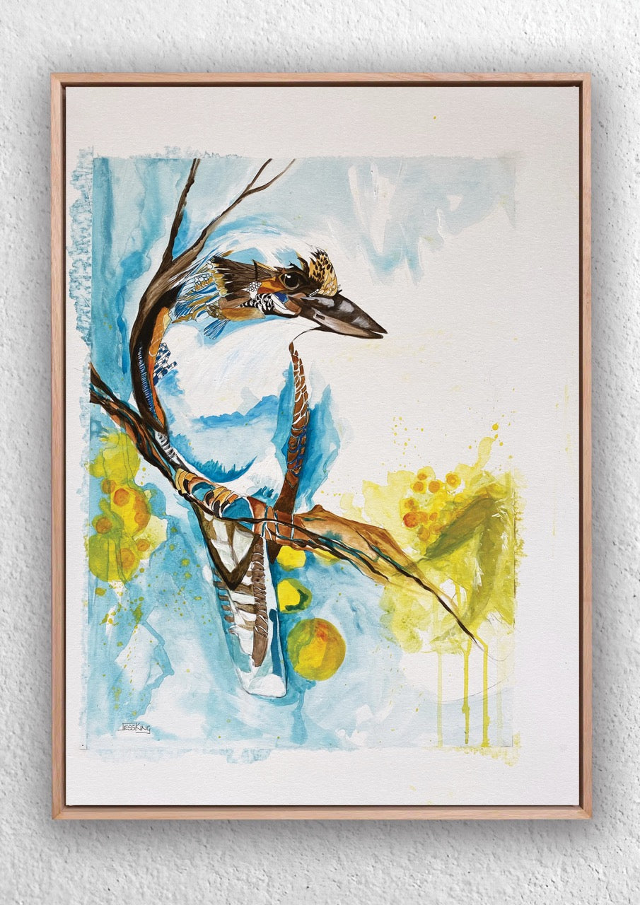 "Kookaburra Wattle" Art Print