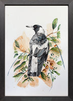 Maggie the Magpie Watercolor