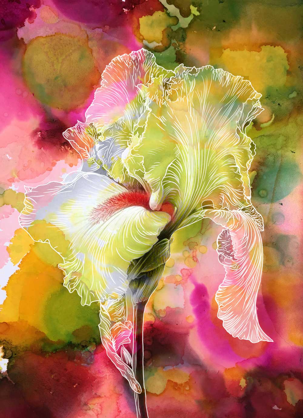 "Pink Iris Flower on Alcohol Ink" Art Print
